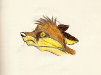 Liszek ( Skia Rule ^^ )