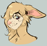 Kofi headshot