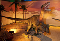 Dinosaurs Unearthed exhibit, raptor pose