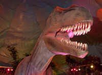 Dinosaurs Unearthed exhibit, achooo dino