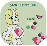 Stable Heart Collie ref. sheet