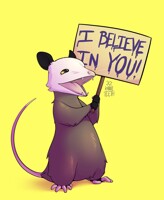Positive Possum!