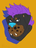Big Toothed Idiot