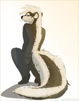 Starry Skunk