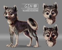 GNG - Gin