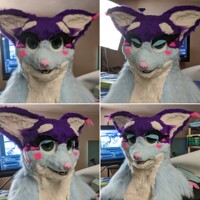The many expressions of Cookie Crumb, a premade head