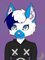Kisha the cat
