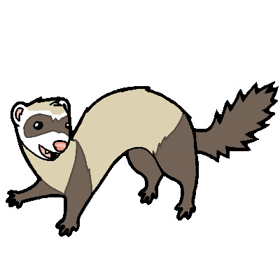Ferret. Animal art, cute cartoon style, hand drawn illustration. Suitable  for pet shop or zoo ads, label design or animal food package element Stock  Photo - Alamy