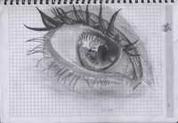 Eye