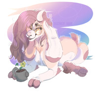 flower for thought? CM