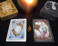 Weekly Spiritual Reading