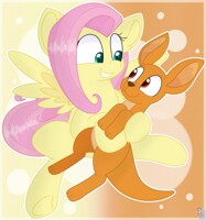 Fluttershy and an Kangaroo