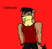 17. Darkdusk