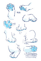 Nico's pawz
