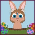 Kohaku Bunny