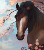 Among cherry blossom