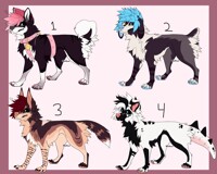 [CLOSED]~Doge Adopts Batch A~
