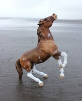 Renner - custom Breyer semi-rearing mustang