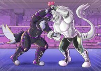 Comisión: Entrenamiento en el ring