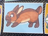 Cubbie Flap Bunnies (Spring) - Rabbit 4 of 5