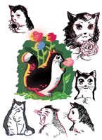 James the Cat - assorted sketches