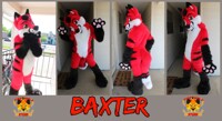 Baxter Fursuit