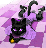 cat plays with a ball