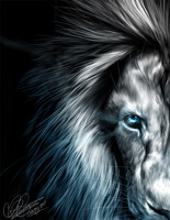 The Cold Lion (Digital 2020)