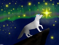 Look Towards the Stars