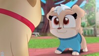 Keia says Hi :))))) (Puppy Dog Pals)
