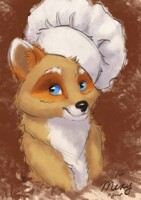 Chef Mexy