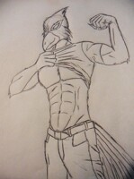 Muscled Falco (Sketch)
