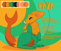 Little Paya the Manokit!