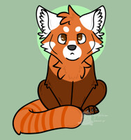 Red Panda