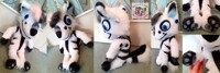 Bear Plush