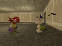 Cat's eye hypnotism 2