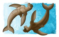 Tuft Ref Sheet - No Water Effect