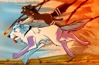 Bluewolves et Chaton Cours