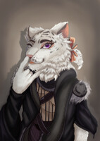 Half body commission