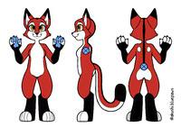 Akushis Turnaround Ref