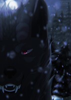 My OC