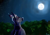 Meet me in the woods (dtiys)