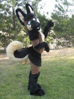 New fursuit!