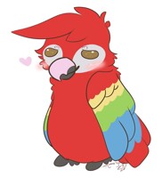 Big fluffy red parrot
