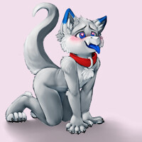 Under Your Affection