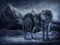 Tsume form Wolf's Rain