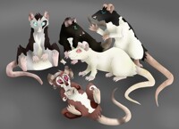 Rat frens