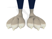 Judy Hopps Feet Close Up 3D (Alternate)