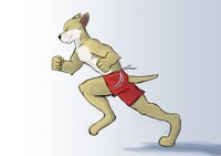 Dog in a Running Pose