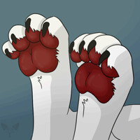 Paws (gif)